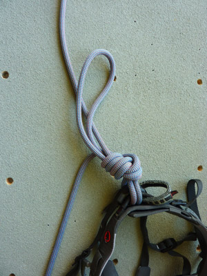 Noeud de guide encordement